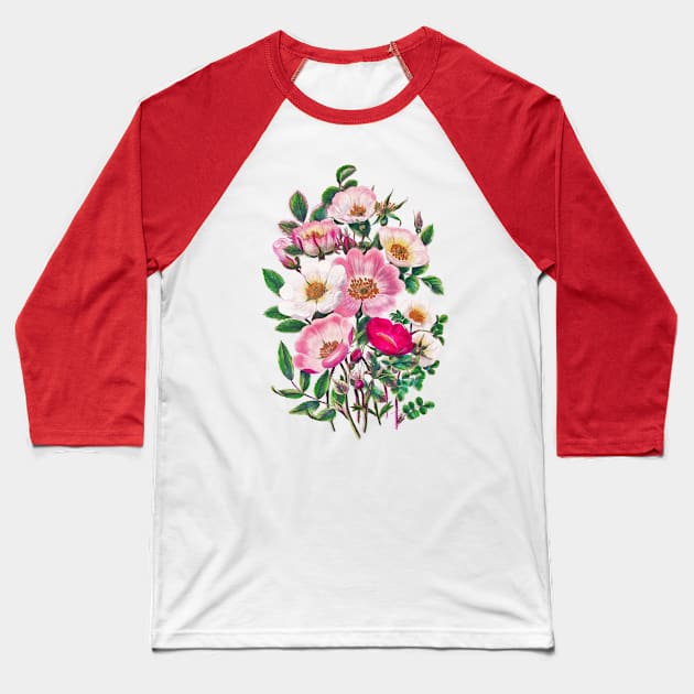 Wild roses Baseball T-Shirt by CatyArte